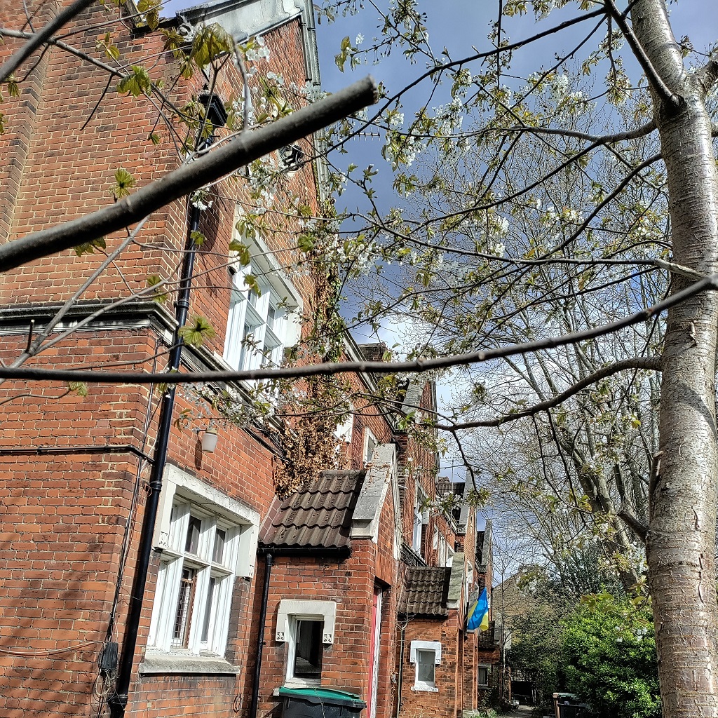 The Victorian almshouses on Vartry Road The Victorian almshouses on Vartry Road