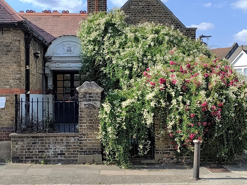 Stamford Hill School, one of the Victorian buildings in the Vartry neighbourhood Stamford Hill School, one of the Victorian buildings in the Vartry neighbourhood