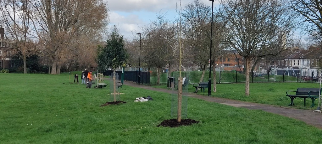 Ten new trees for Paignton Park planted in March 2026