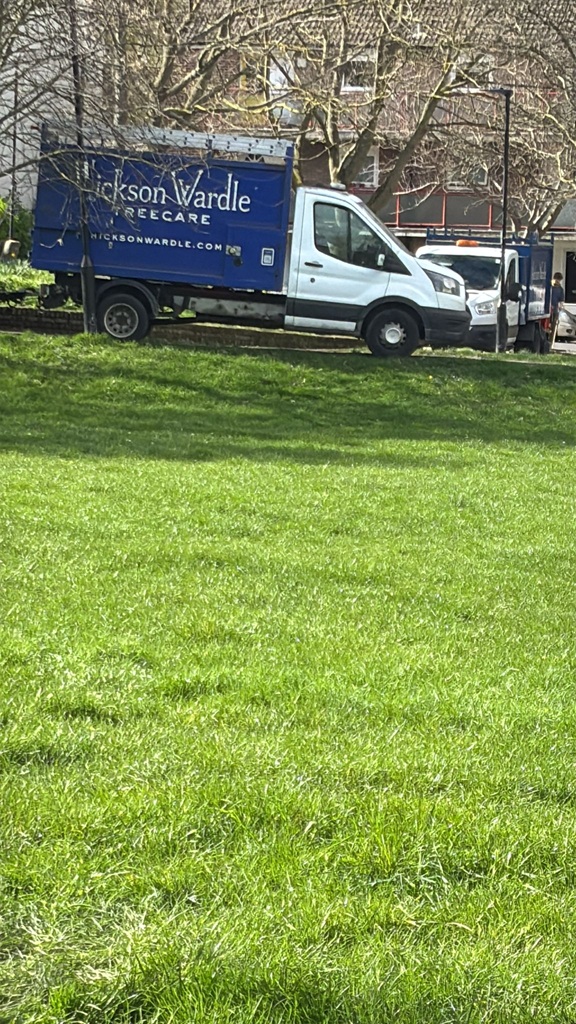 Ten new trees for Paignton Park planted in March 2026