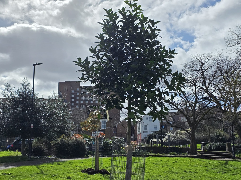 Ten new trees for Paignton Park planted in March 2026